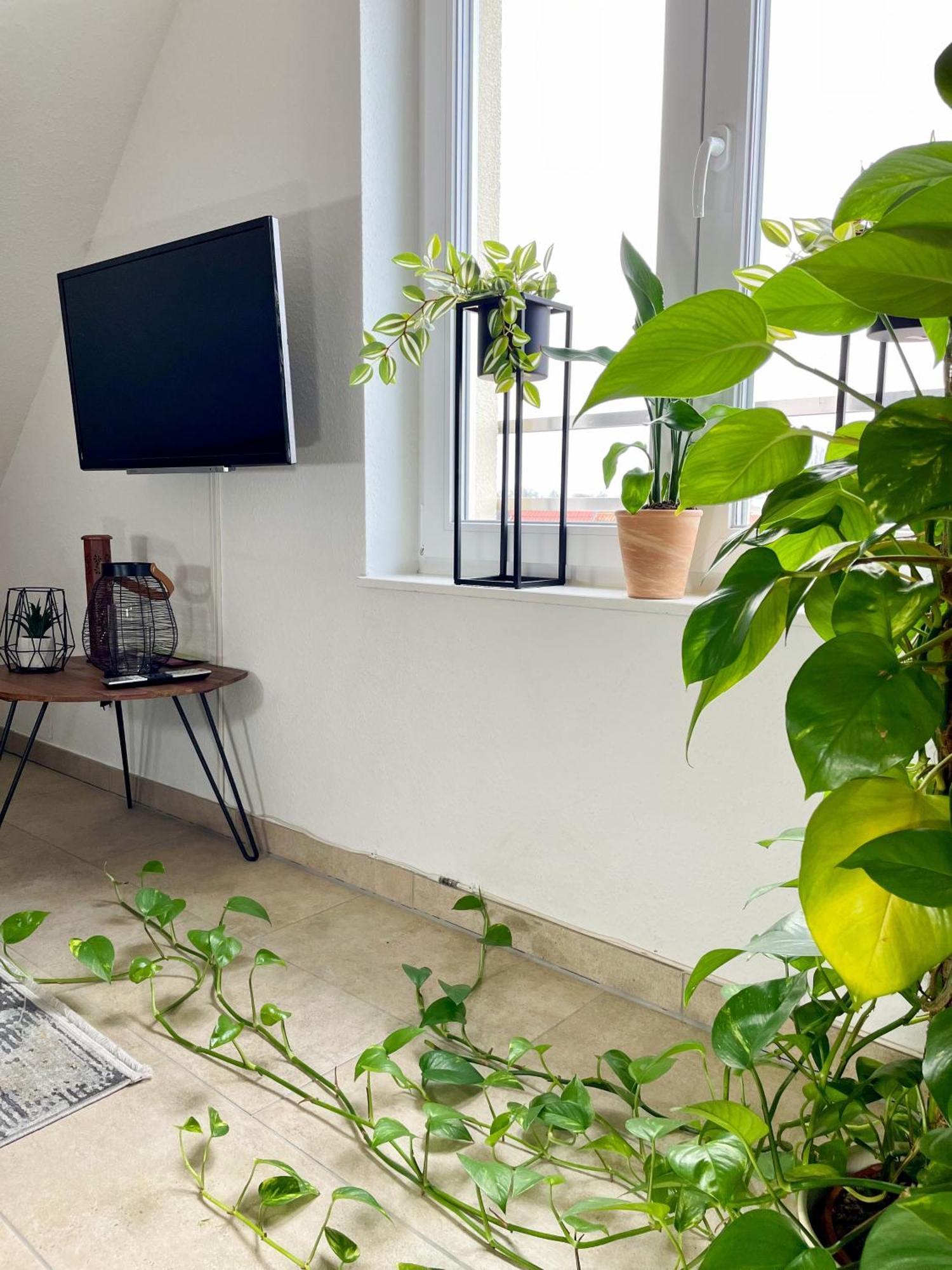 Ahaus: Stadtoase Mit Terrasse & Privater Garage ภายนอก รูปภาพ